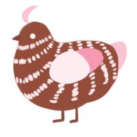 Confection, a russet and rose chicken with a bar pattern
