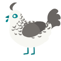 A white and grey chicken with a half-lace pattern