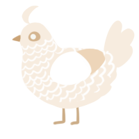 A cream chicken with a lace pattern