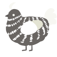 A grey and white chicken with a bar pattern
