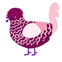 Daquiri, a wine and rose chicken with a lace pattern