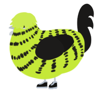 Archie, a lime and sable chicken with a bar pattern