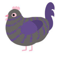 dusty rose, a grey and overcast chicken with a bar pattern