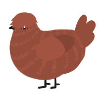 A russet chicken with a bar pattern