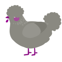 A ash chicken with a neck-speckle pattern