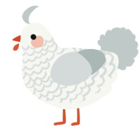A white and silver chicken with a lace pattern