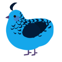 Indigo Bunting, a sky and tumblr chicken with a half-lace pattern
