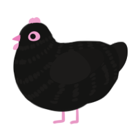 conjunctivitis, a black and sable chicken with a bar pattern