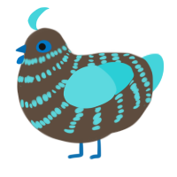 Nitride, a bark and aqua chicken with a bar pattern