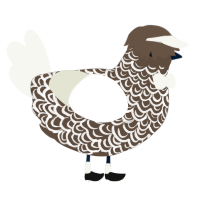 odette, a bark and white chicken with a double-lace pattern