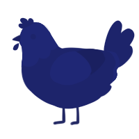 In the Navy, a navy chicken with a head pattern