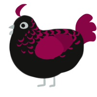 Baccará, a black and maroon chicken with a half-lace pattern