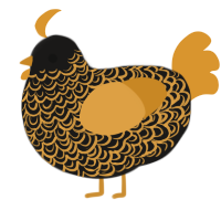 A sable and orange chicken with a double-lace pattern