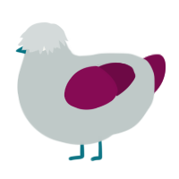 Stony, a silver and wine chicken