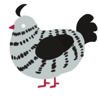 A silver and sable chicken with a bar pattern
