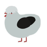 A silver and sable chicken