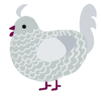 Silvery, a silver and mist chicken with a lace pattern
