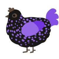 A sable and blurple chicken with a speckle pattern