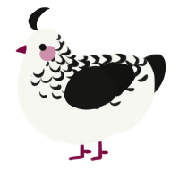 A white and black chicken with a half-lace pattern