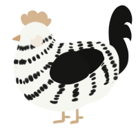 A white and black chicken with a bar pattern