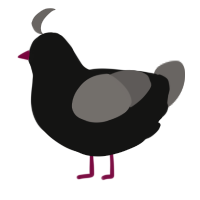 (unnamed), a black and grey chicken