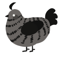 A grey and black chicken with a bar pattern