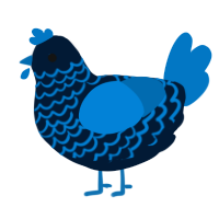 A tumblr and sapphire chicken with a lace pattern