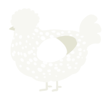 A white chicken with a speckle pattern