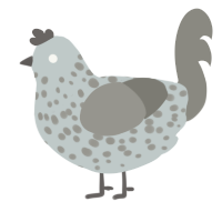 A silver and ash chicken with a speckle pattern