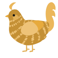 A gold and honey chicken with a bar pattern
