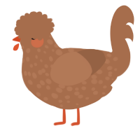 A brown chicken with a speckle pattern