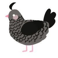 A grey and black chicken with a lace pattern