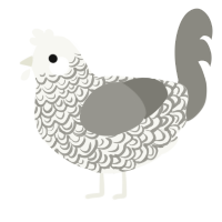 A white and ash chicken with a double-lace pattern