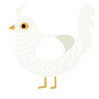 A white chicken with a lace pattern