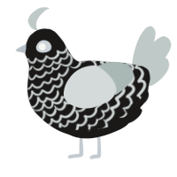A sable and silver chicken with a lace pattern