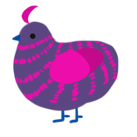 BI PRIDE, a overcast and fuchsia chicken with a bar pattern