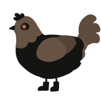 Dani, a black and bark chicken with a head pattern