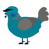 VP Commodore, a sea and grey chicken with a neck-speckle pattern