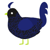 A sable and navy chicken with a double-lace pattern