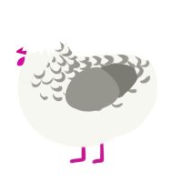 Lily of the Valley, a white and ash chicken with a half-lace pattern