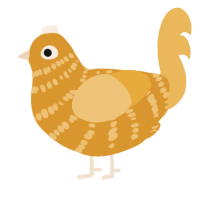 A orange and honey chicken with a bar pattern