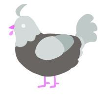Steelia, a grey and silver chicken with a head pattern