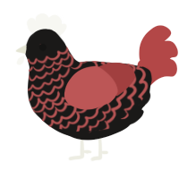 A sable and red chicken with a lace pattern