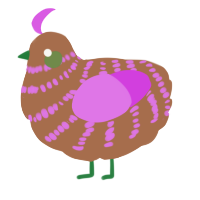 A brown and orchid chicken with a bar pattern