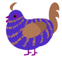 Itin, a indigo and brown chicken with a bar pattern