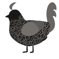A sable and grey chicken with a double-lace pattern