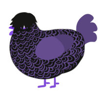 (unnamed), a black and overcast chicken with a double-lace pattern