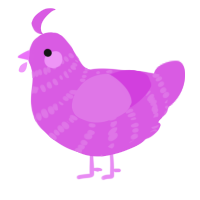 A orchid chicken with a bar pattern