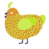 mango, a orange and lime chicken with a lace pattern