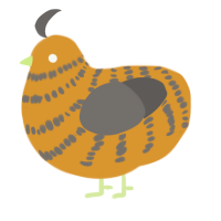 A orange and grey chicken with a bar pattern